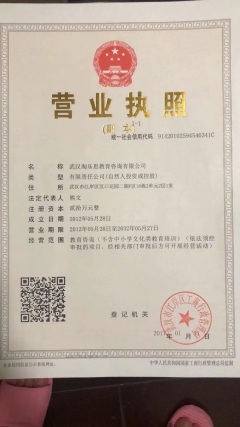 武漢淘樂(lè)思教育咨詢(xún)公司 深耕教育咨詢(xún)，賦能學(xué)習(xí)未來(lái)